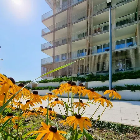 Visit Baltic - Apartament Plazowy Casa Svinoústí Exteriér fotografie